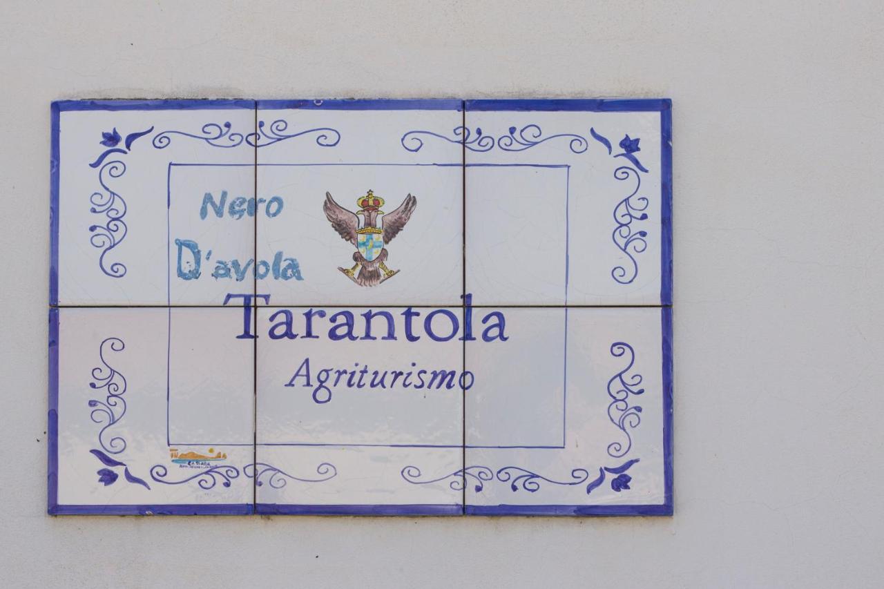 Tarantola Alcamo